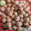 7~12mm Chickpea with High Quality and Low Price